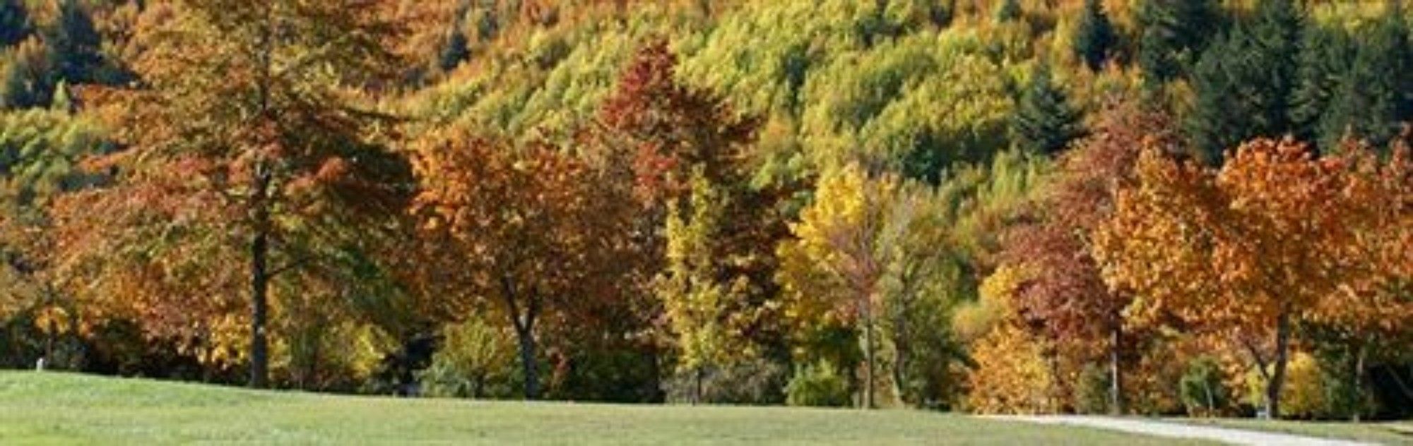 Hampshire Holiday Parks - Arrowtown Extérieur photo